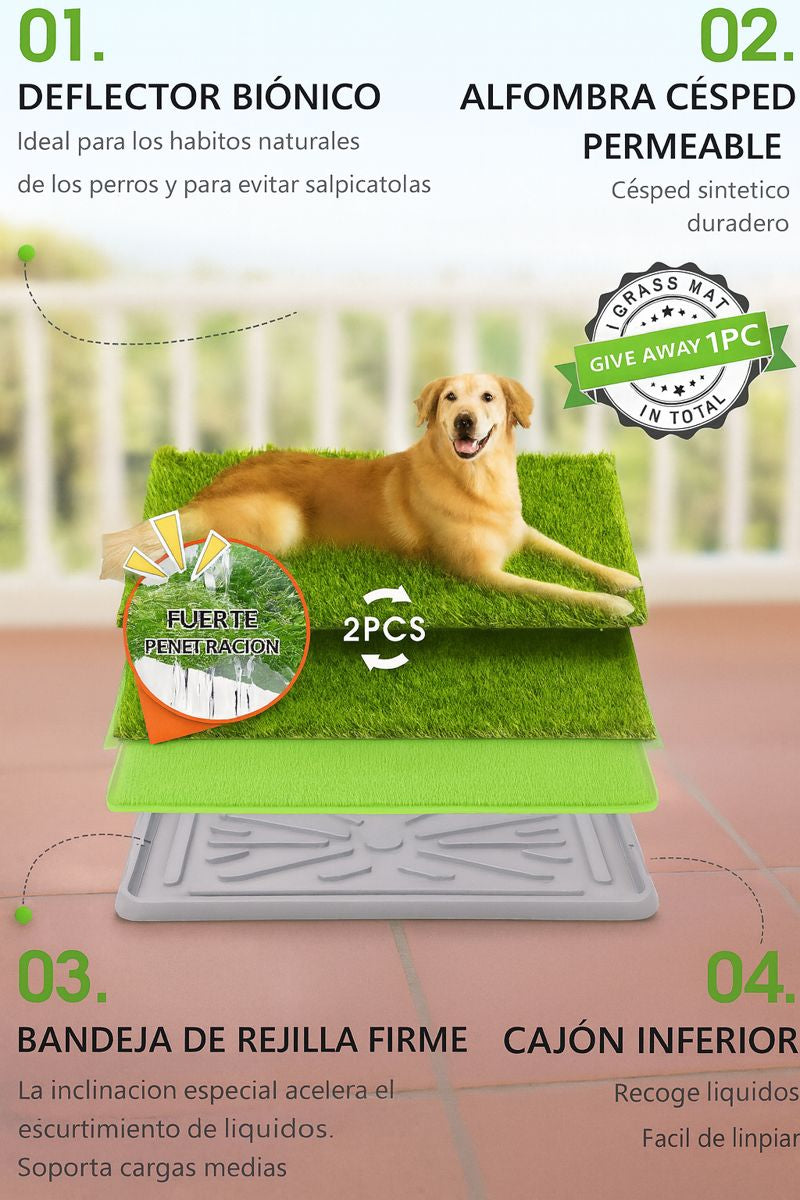 Tapete entrenamiento Perro