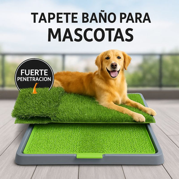 Tapete entrenamiento Perro