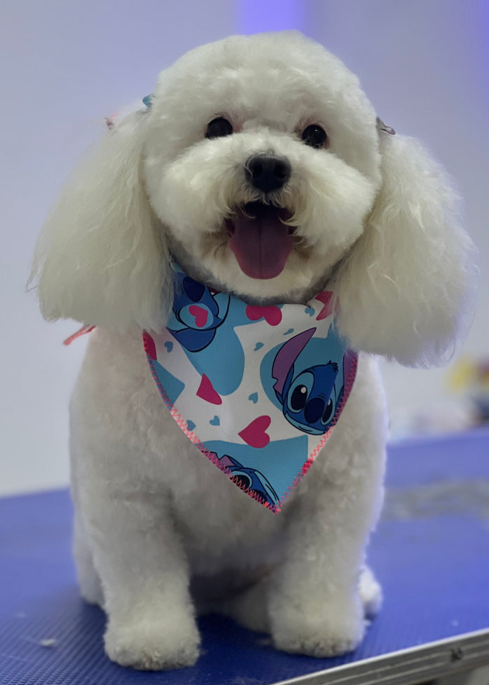 Peluquería canina PuppiesPet Shop